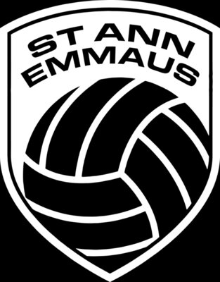 Volleyball White